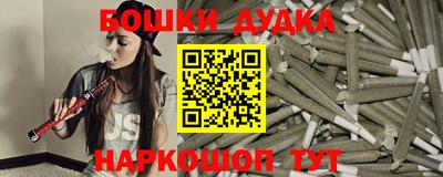 индика Комсомольск-на-Амуре