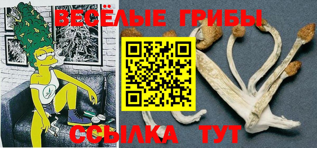 наркотики  Галлюциногенные грибы GOLDEN TEACHER  Вход с VPN  Псилоцибиновые грибы Psilocybine cubensis  Костомукша 